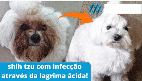 Lenços TakePet™