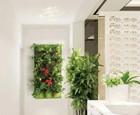 Vegetal Home - Jardim Vertical para Casa