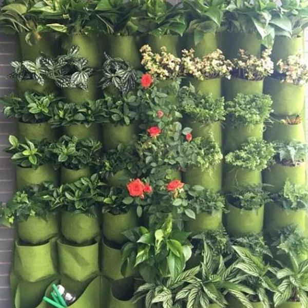 Vegetal Home - Jardim Vertical para Casa